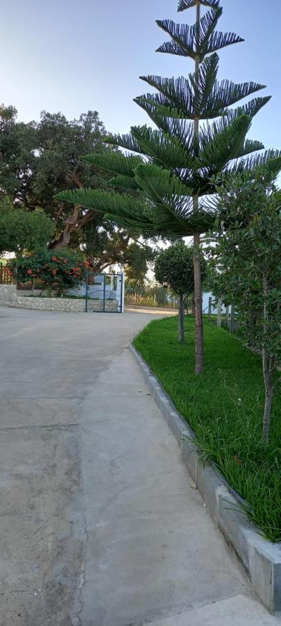 Monte Da Vinha Nova Villa Santiago do Cacém Kültér fotó